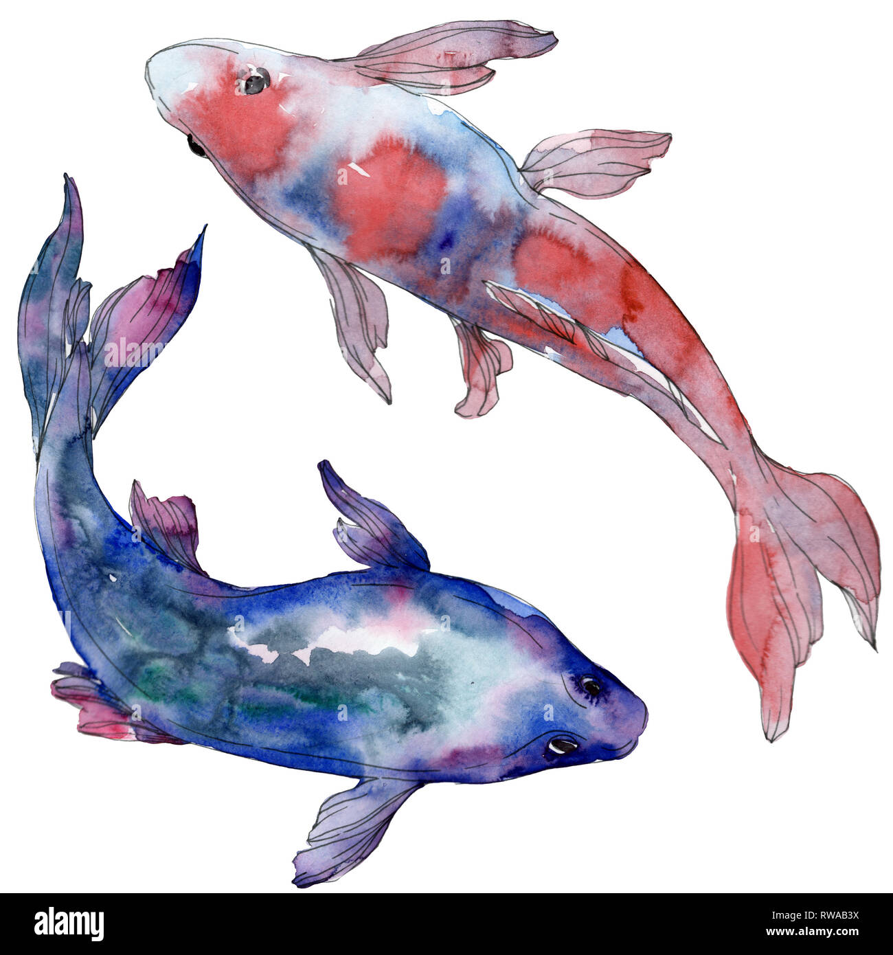 Aquatische Unterwasser bunten tropischen Fischen set beschmutzt. Rotes Meer und exotische Fische. Aquarell Hintergrund gesetzt. Aquarell Zeichnung mode Tjeukemeer Stockfoto