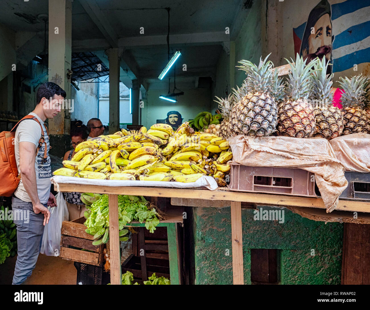 Bananen und Ananas für den Verkauf in einem Shop unter den Porträts von Fidel Castro und Che Guevara auf der Rückseite Straßen von Havanna, Kuba Stockfoto