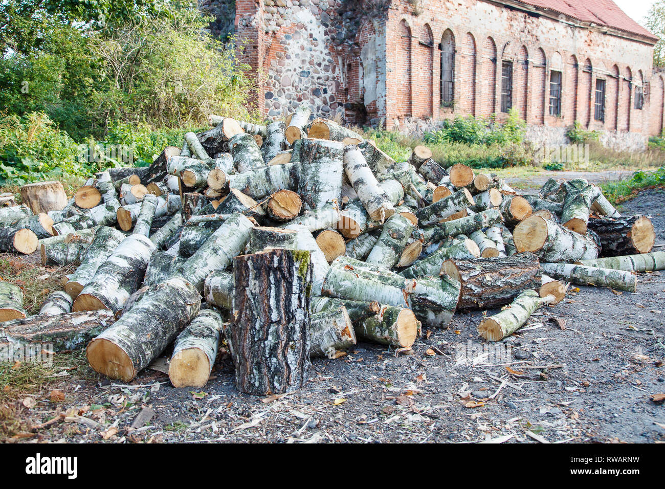 Gehackte Birke im Hof des alten Haus im Sommer Tag Stockfoto