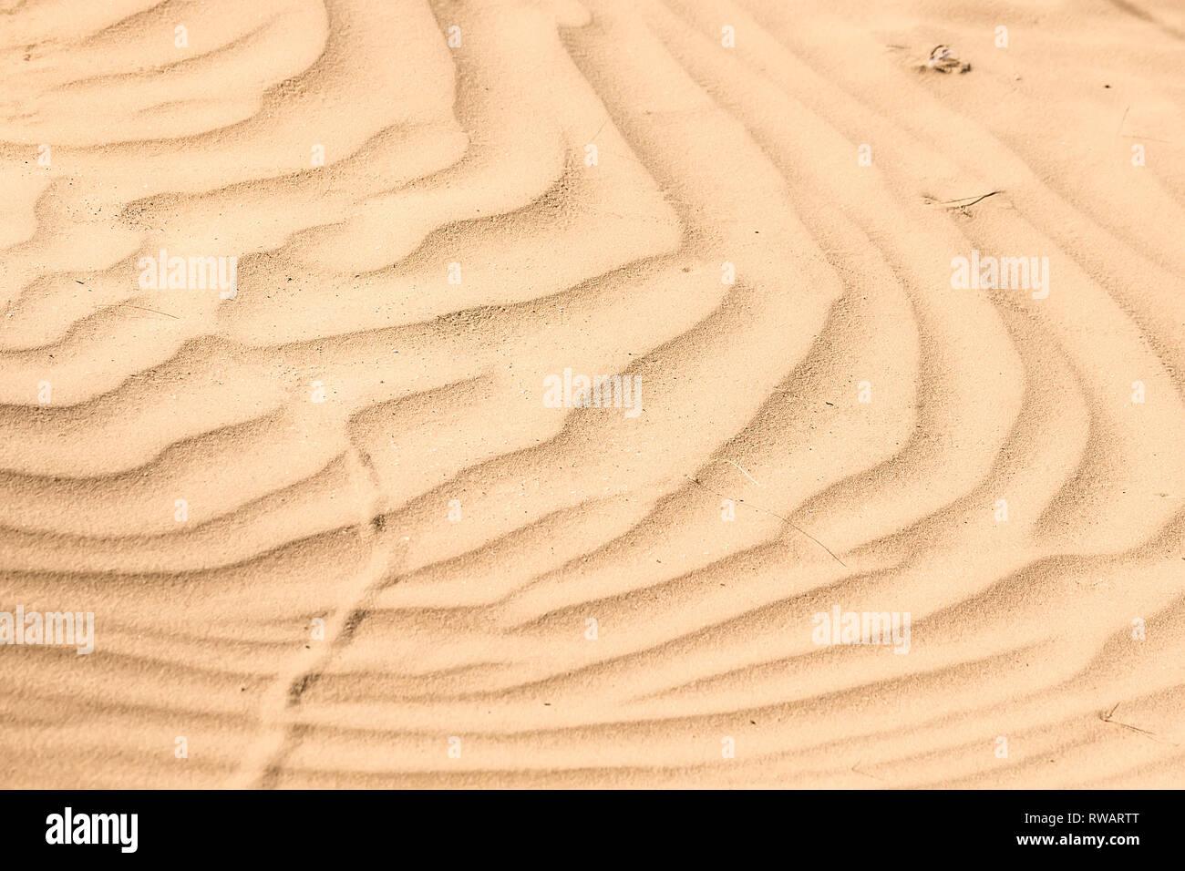 Nahaufnahme der Textur von sandigen Dünen in der Wüste. Sommerurlaub Strand Konzept Stockfoto Nahaufnahme der Textur von sandigen Dünen in der Wüste. Sommerurlaub Strand Konzept Stockfoto
