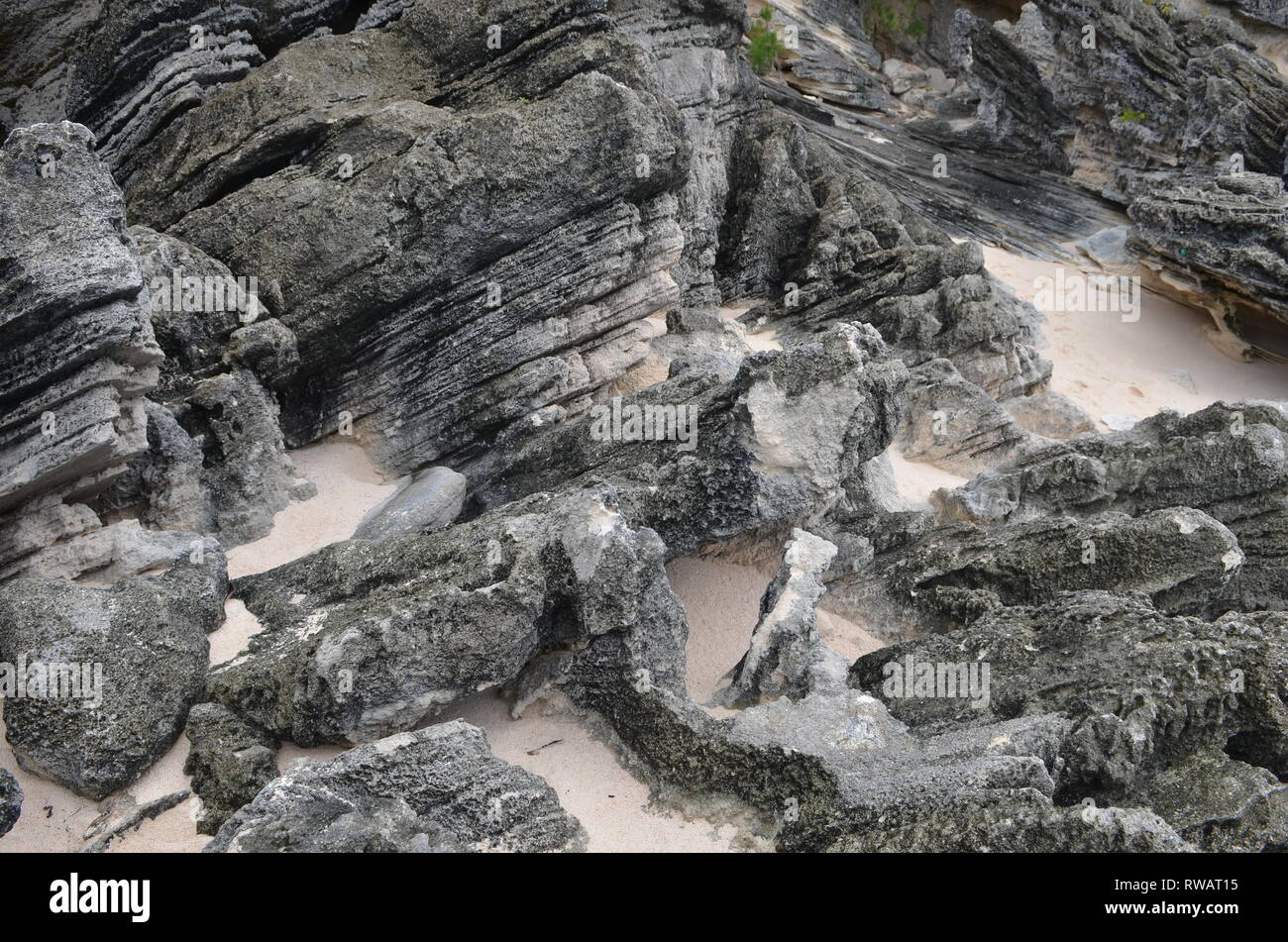 Bermuda Beach Stockfoto