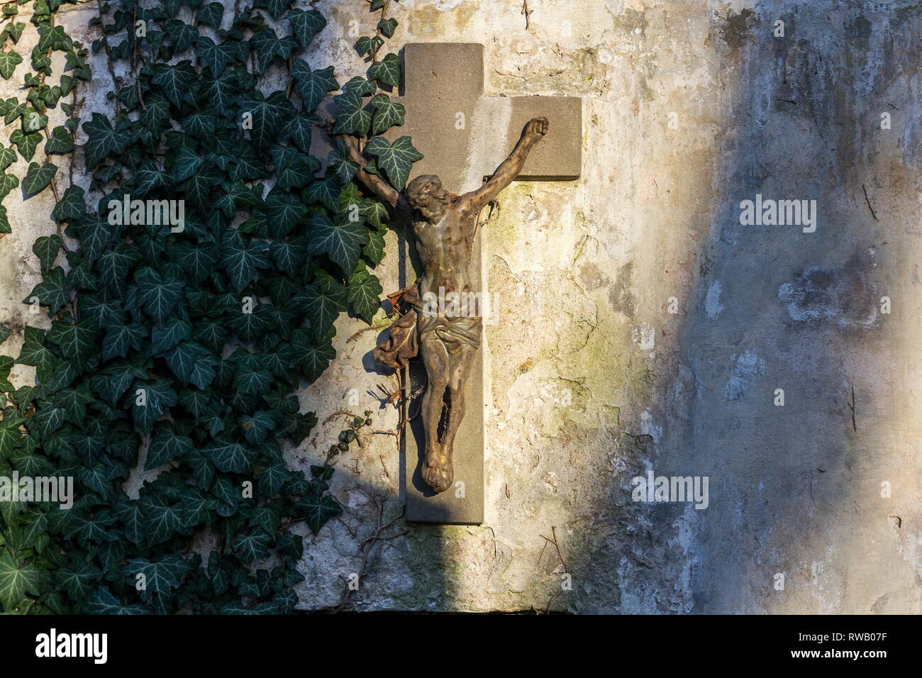 Schönen rostigen Jesus Christus Kreuzigung Statue bei Sonnenuntergang teilweise überdacht mit gemeinsamen Efeu, Hedera helix bei der alten Mauer, Olsany Friedhof, Prag, Tschechische Stockfoto