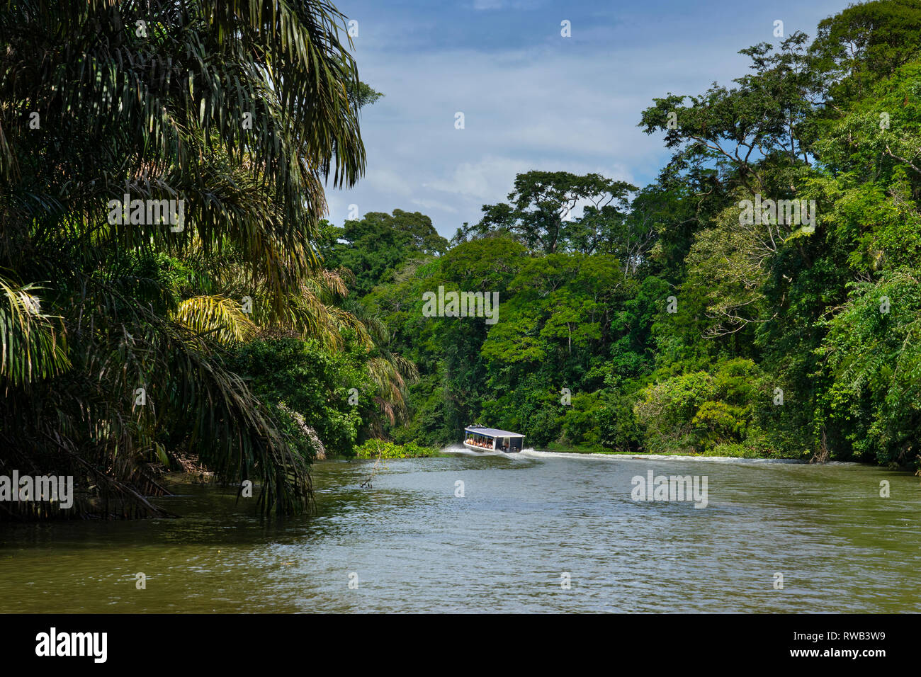 Touristen zu Nationalpark Tortuguero auf Booten transportiert werden, Costa Rica Stockfoto