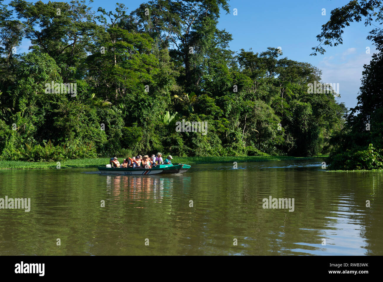 Touristen auf Sightseeing Bootsfahrt auf Lagunen von Tortuguero National Park, Costa Rica Stockfoto