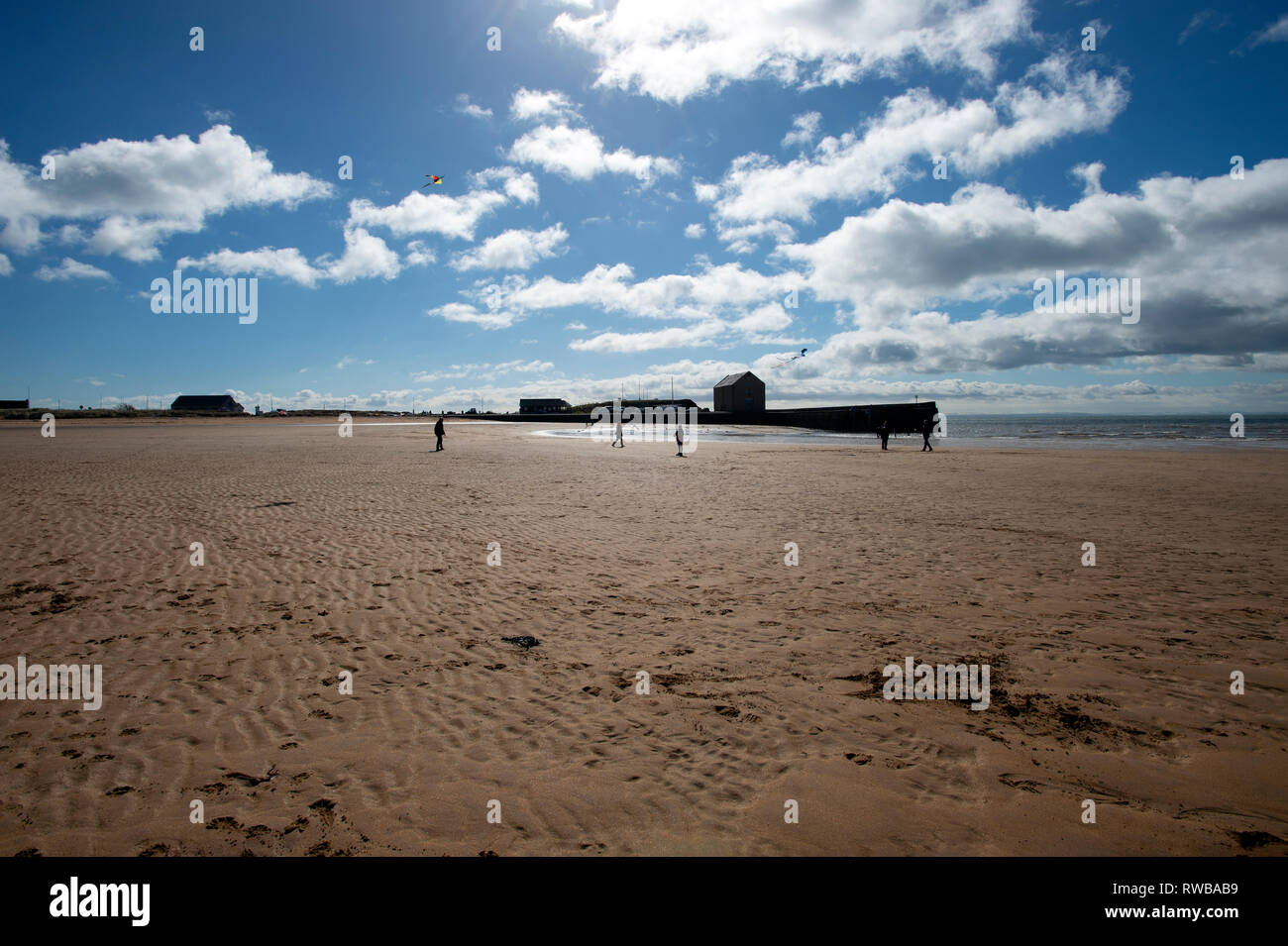 Familien flying Kites auf Elie Strand die Ebbe mit dem Meer und den Hafen Getreidespeicher im Hintergrund Elie Fife Schottland Großbritannien Silhouette Stockfoto