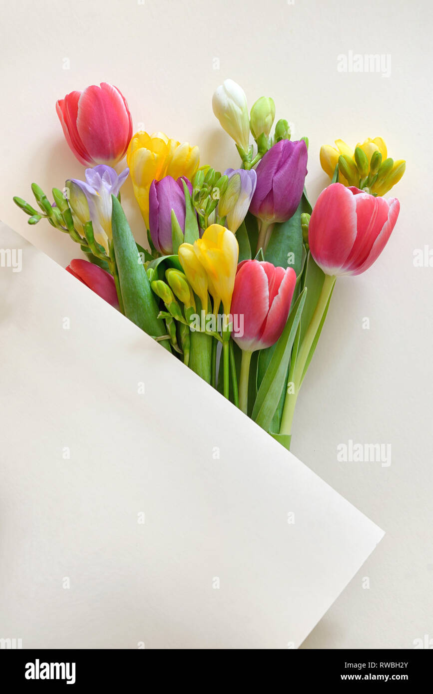Blumensträuße von Tulpen und Freesie Blumen auf weißem Papier Stockfoto
