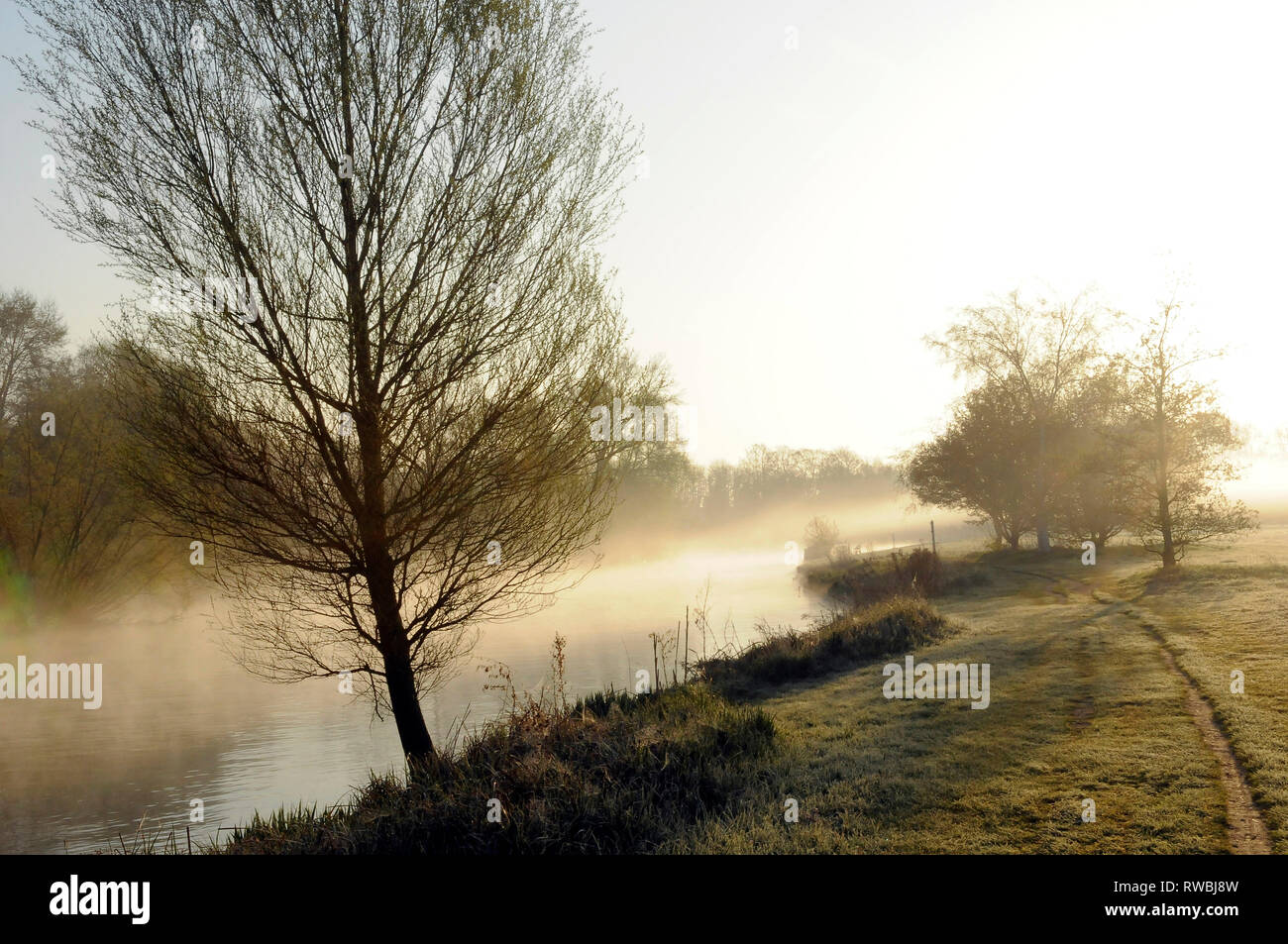 Die Themse ist Abingdon in der frühen Morgensonne Stockfoto