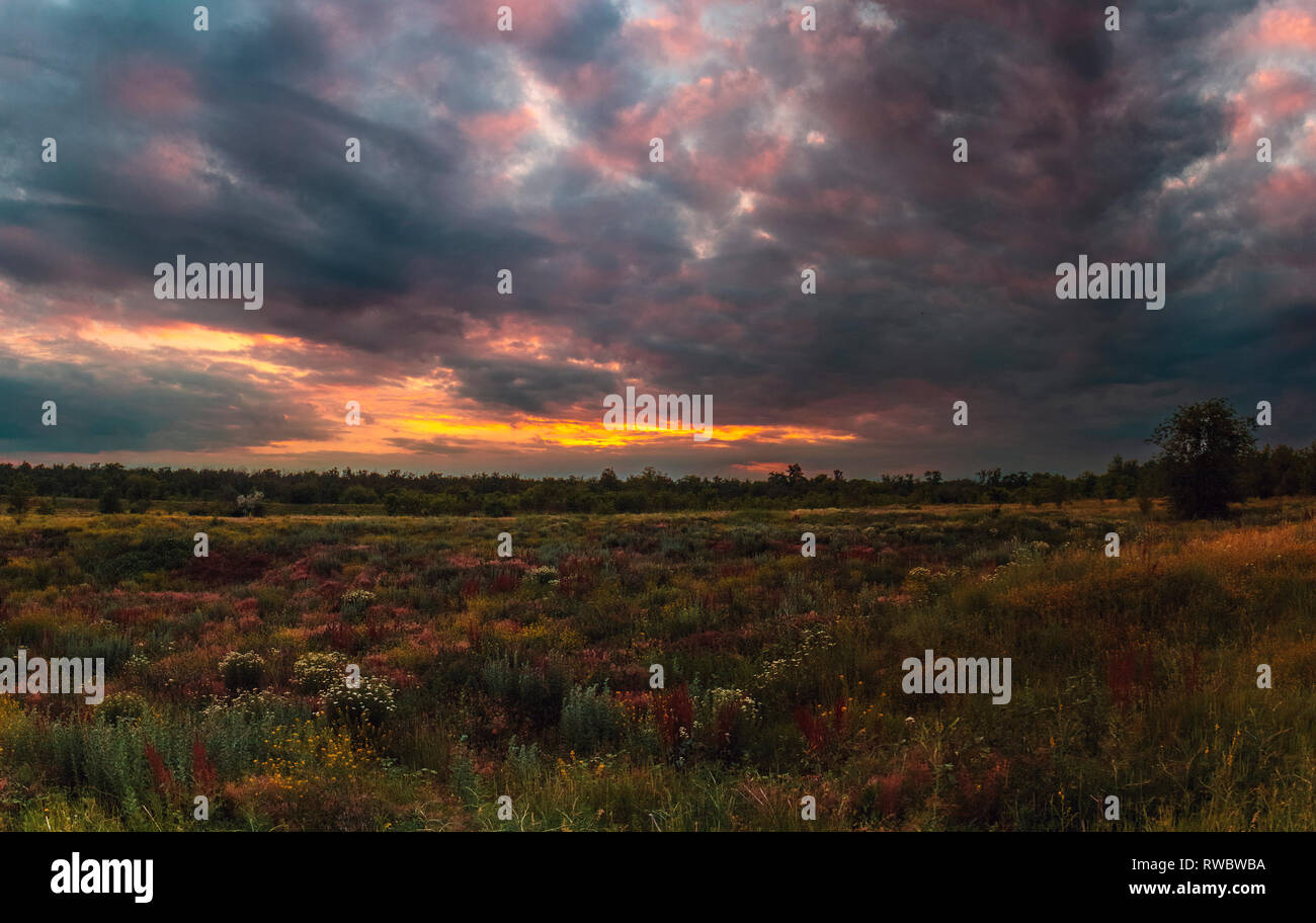 Sommer Sonnenuntergang in der ukrainischen Steppe. Ukrainische Sommer Landschaft. Bewölkt Landschaft mit Blick in die Natur Stockfoto