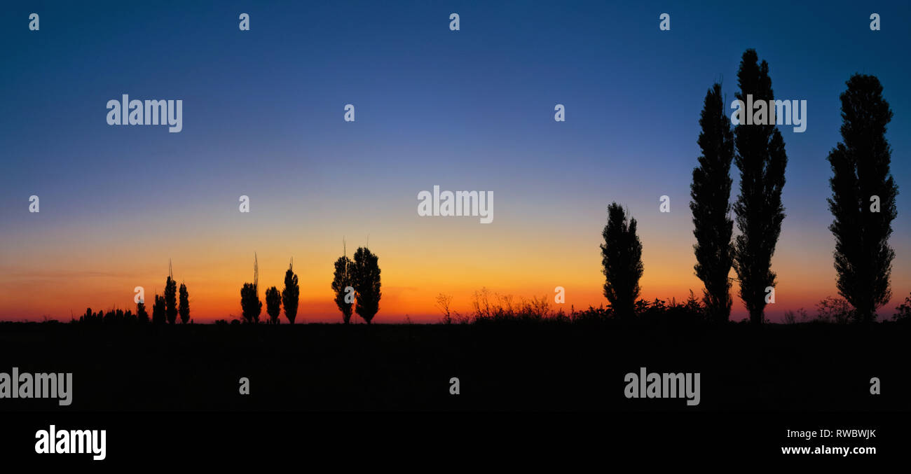 Allee Silhouetten. Ein Abend im Sommer Sonnenuntergang Landschaft auf Himmel Hintergrund in Dnipropetrowsk, Ukraine Stockfoto