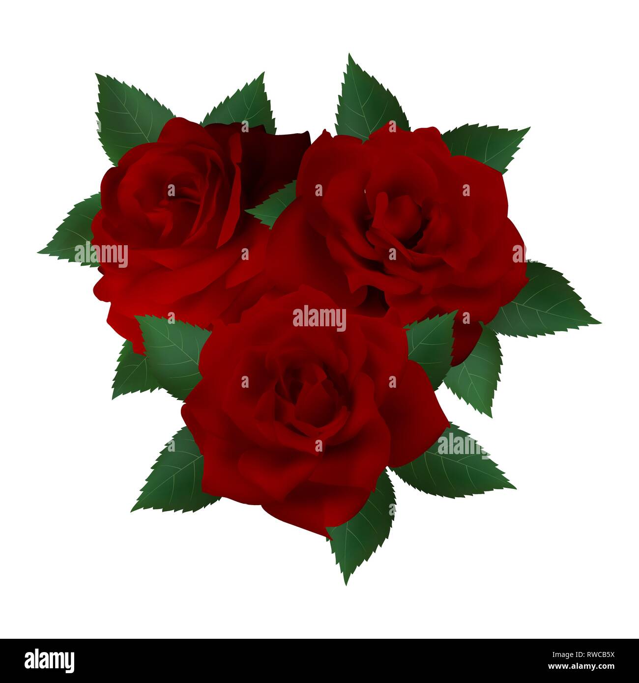Blumenstrauß aus roten Rosen. Blumen auf weißem Hintergrund. Stock Vektor