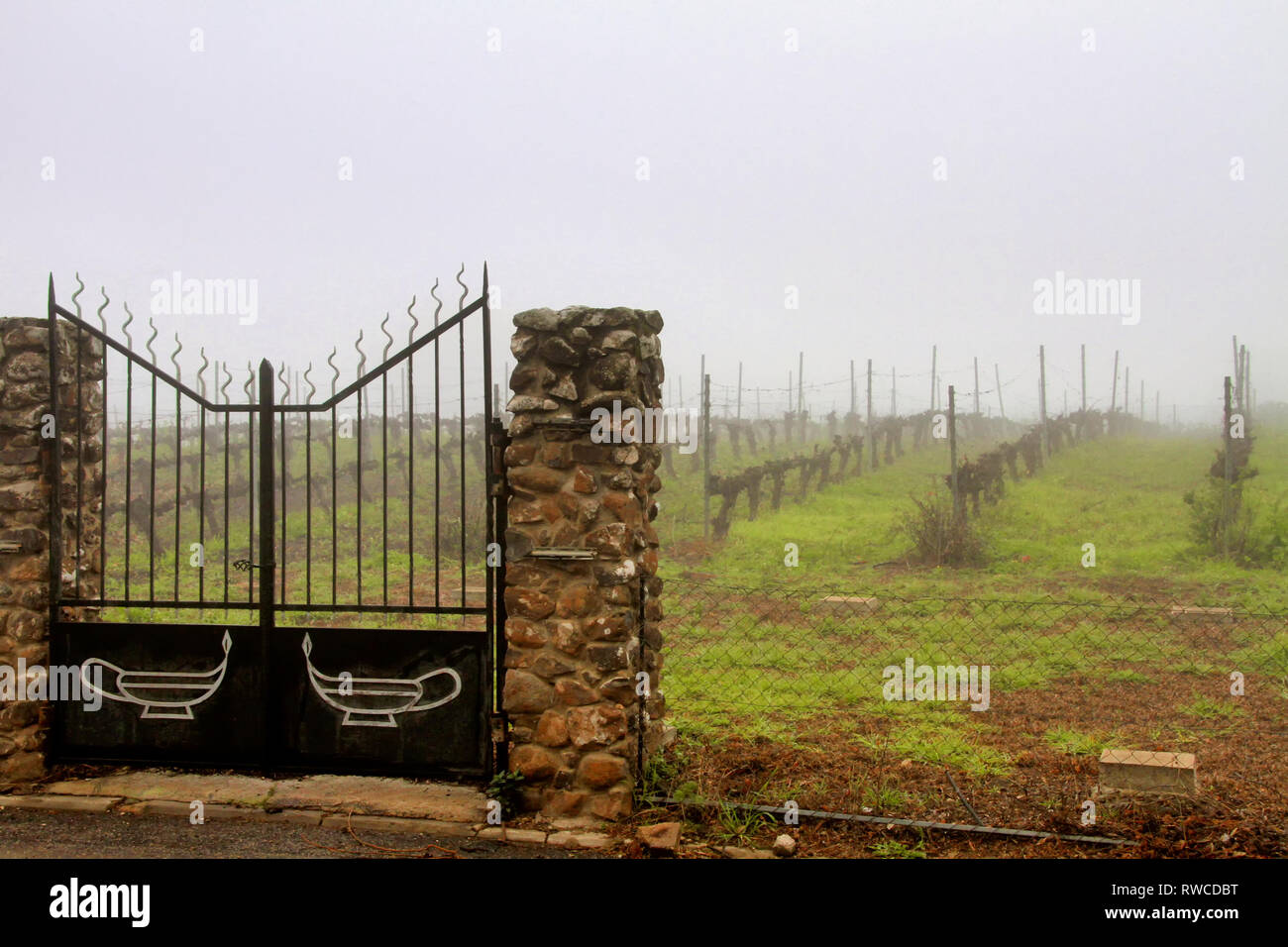 Die Tore zum Weinberg am Golan Heights Winery in Katzrin Israel Anzeige die Öllampe Logo der Winery. Stockfoto