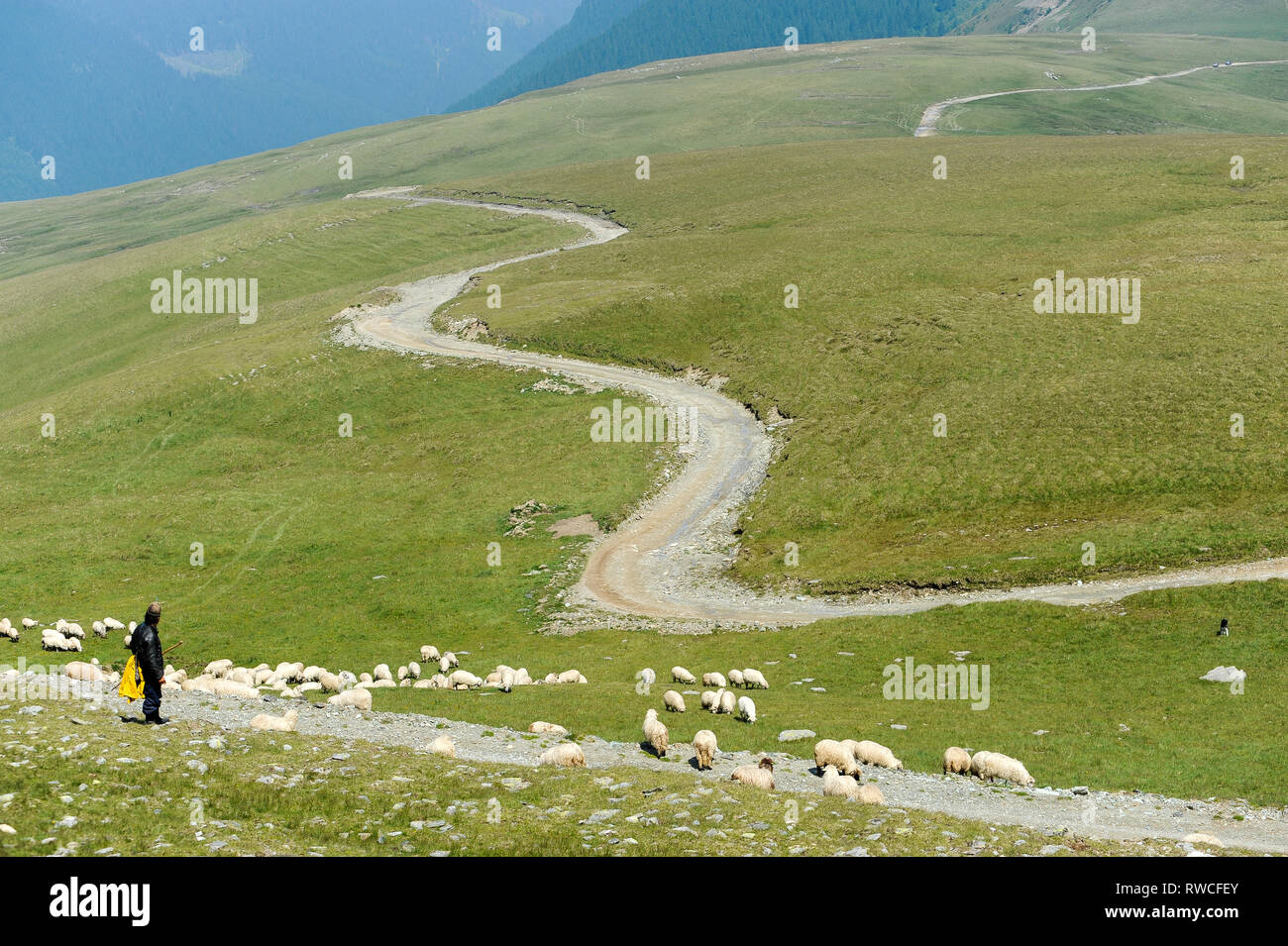 Transalpina Straße (DN 67 C) in Parang Berge im südlichen Karpaten in Rumänien. 18. Juli 2009 © wojciech Strozyk/Alamy Stock Foto Stockfoto