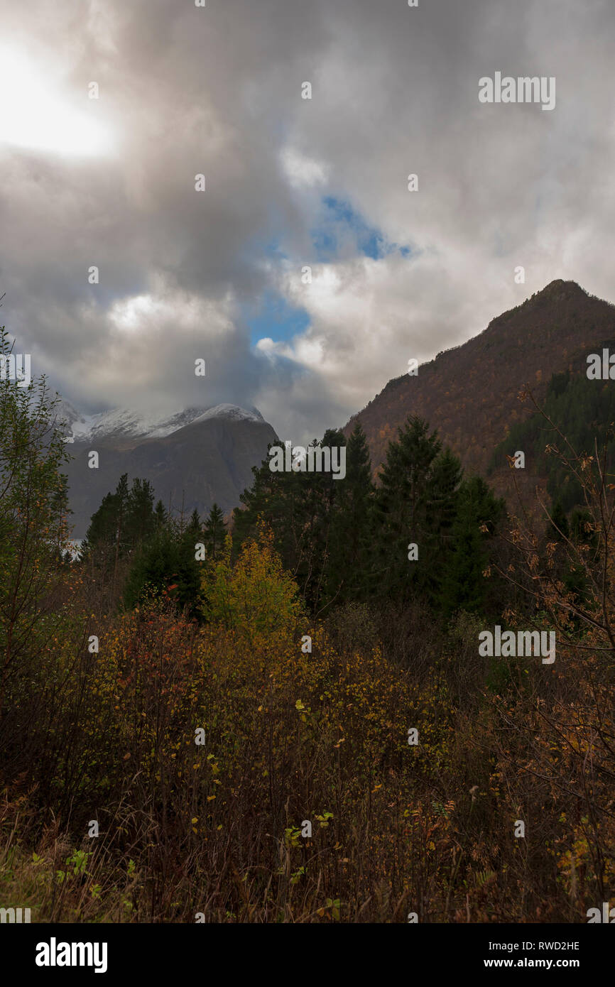 Herbst Farbe in Urkedalen, Møre og Romsdal, Norwegen Stockfoto