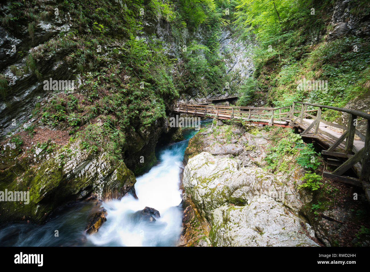 Vintgar Tal - der schönste Ort in Slowenien Stockfoto