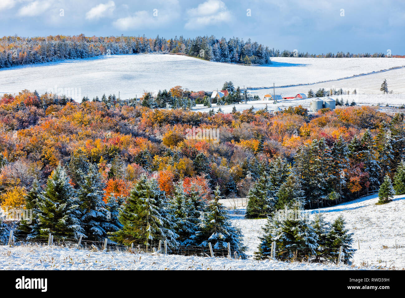 Glan Valley, Prince Edward Island, Kanada Stockfoto