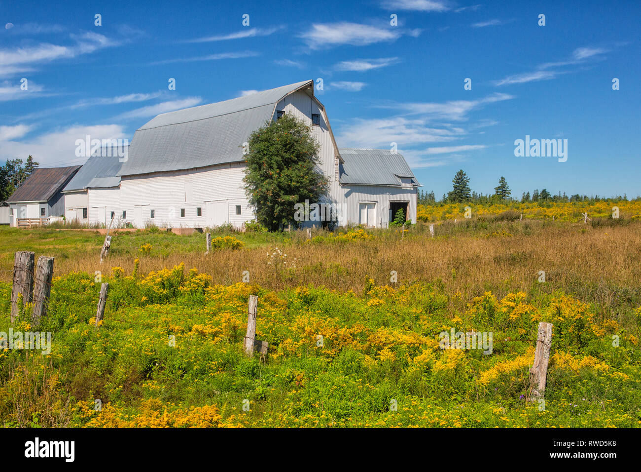 Scheune, Victoria, Prince Edward Island, Kanada Stockfoto