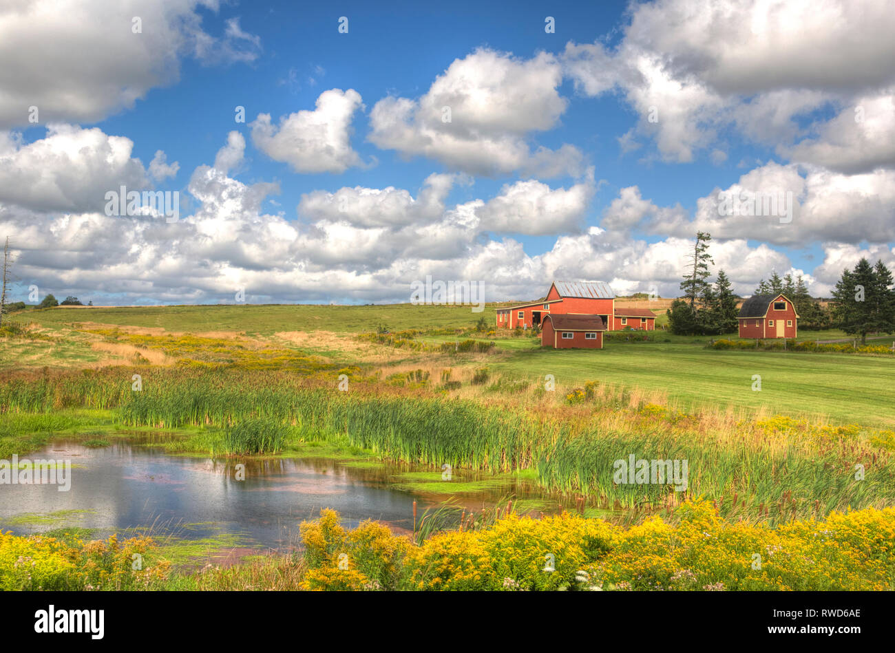 North Wiltshire, Prince Edward Island, Canada Stockfoto