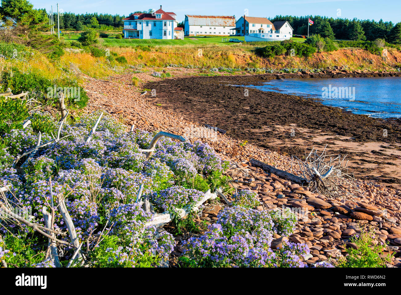 Doyles Cove, Gulf Shore Parkway West, Prince Edward Island National Park, Kanada Stockfoto