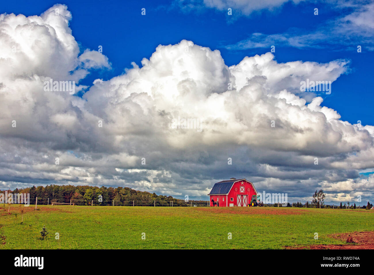 Red Barn, Darlington, Prince Edward Island, Kanada Stockfoto