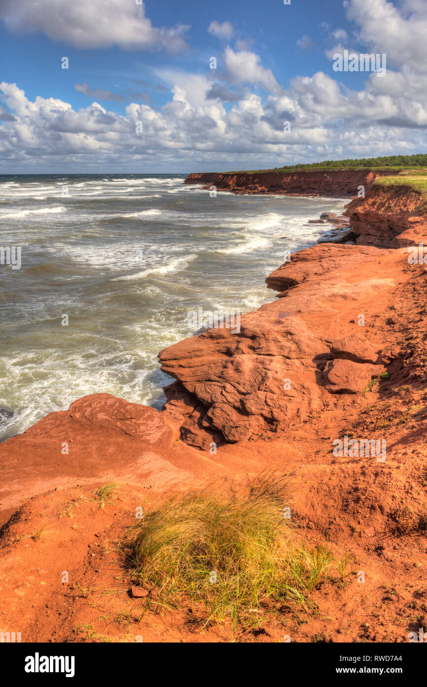 Roten Sandsteinfelsen, Cavendish, Prince Edward Island National Park, Prince Edward Island, Kanada Stockfoto