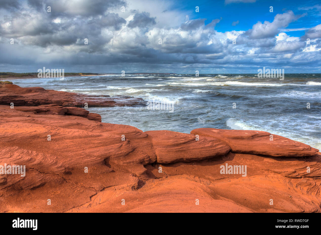 Roten Sandsteinfelsen, Cavendish, Prince Edward Island National Park, Prince Edward Island, Kanada Stockfoto