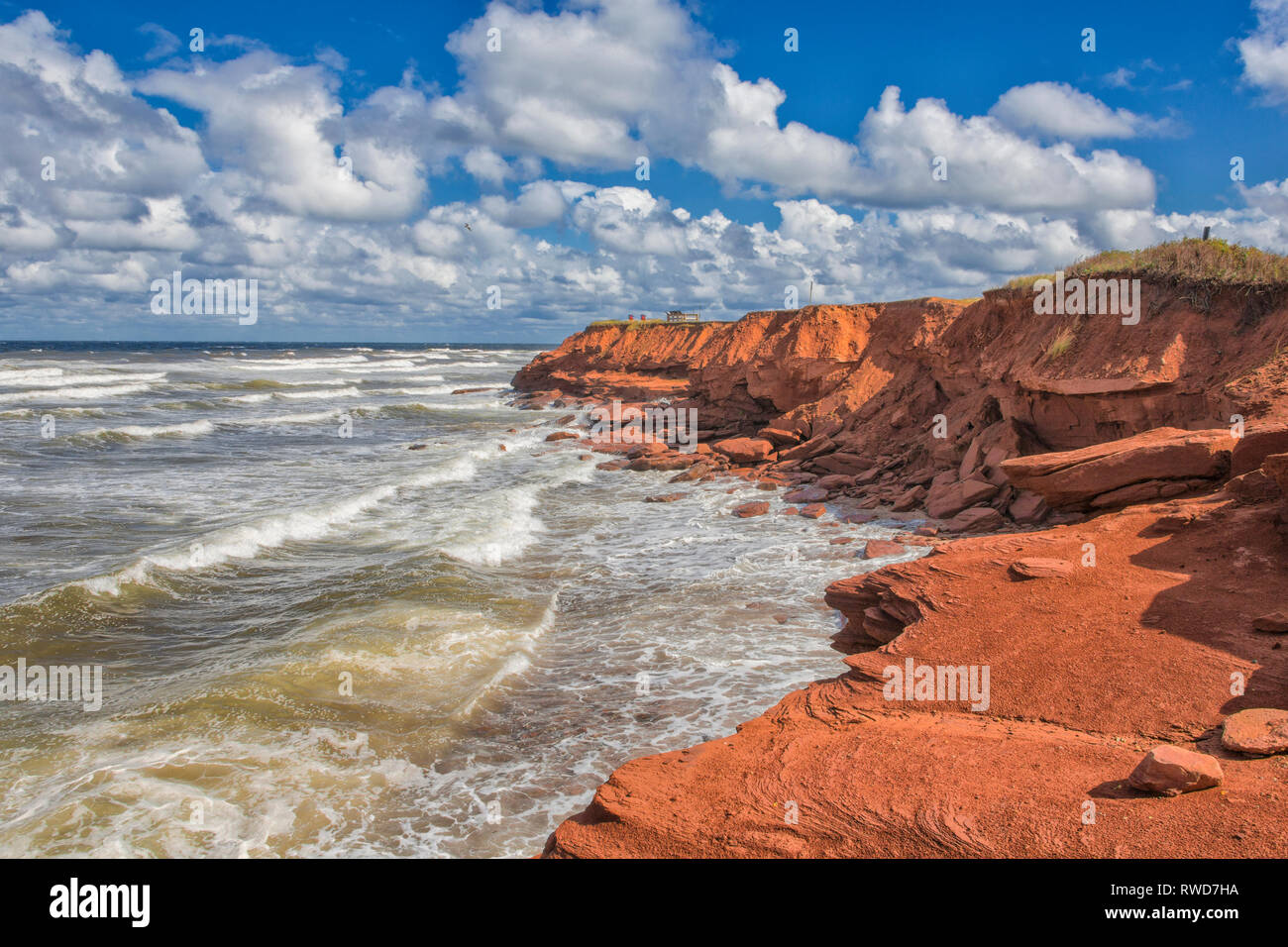 Roten Sandsteinfelsen, Cavendish, Prince Edward Island National Park, Prince Edward Island, Kanada Stockfoto