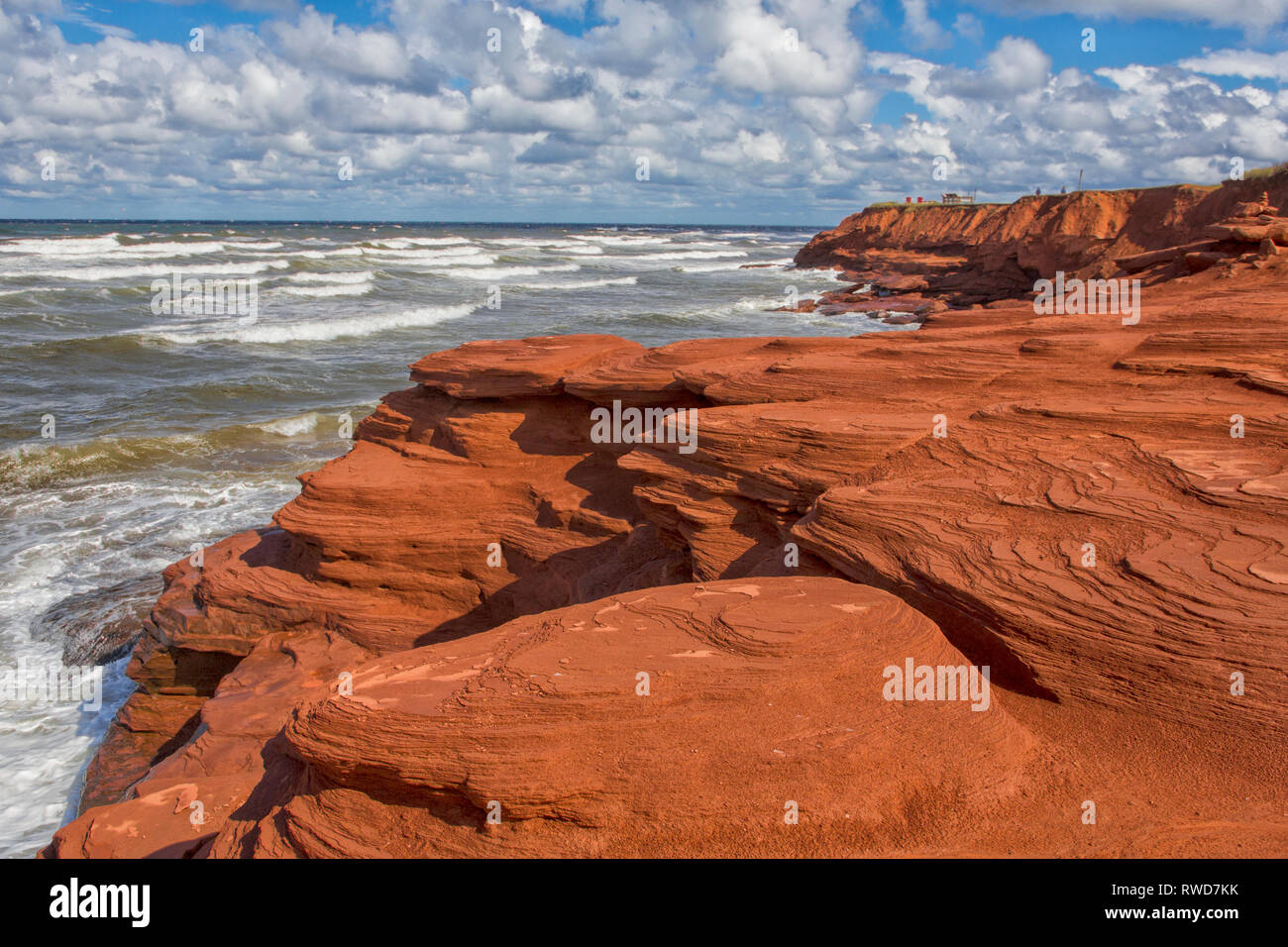 Roten Sandsteinfelsen, Cavendish, Prince Edward Island National Park, Prince Edward Island, Kanada Stockfoto