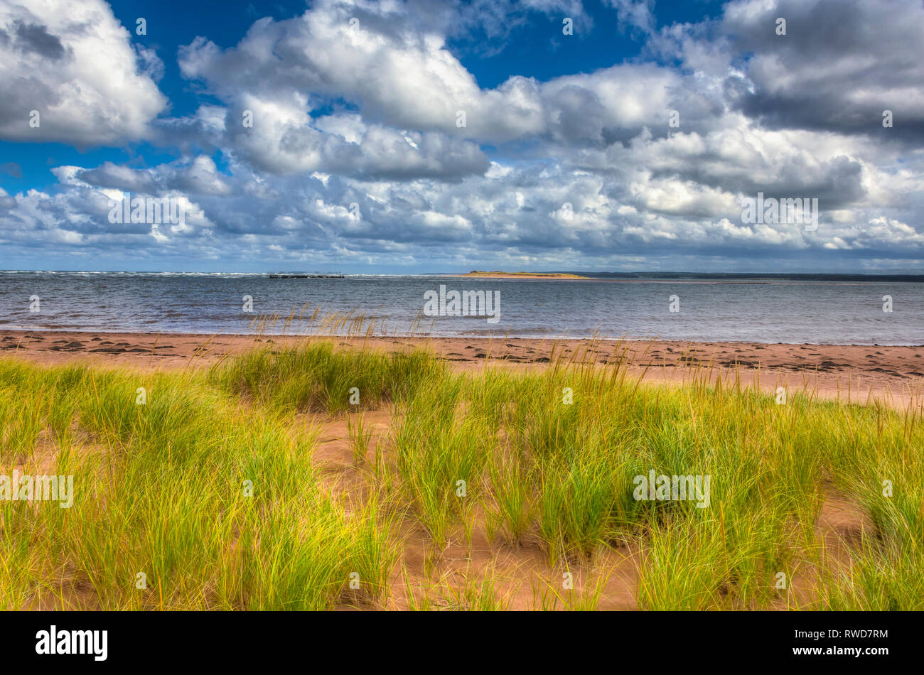 Mund von New London Bay, Prince Edward Island, Kanada Stockfoto