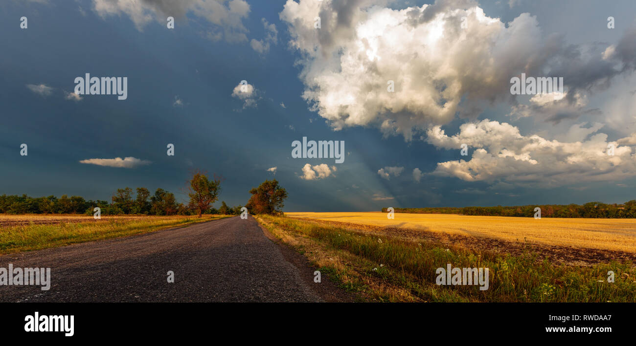 Ein Weg zum Himmel. Eine asphaltierte Straße führt zum Himmel. Eine Straße auf das Gewitter wolken Hintergrund. Am Straßenrand und Müsli, Feld Stockfoto