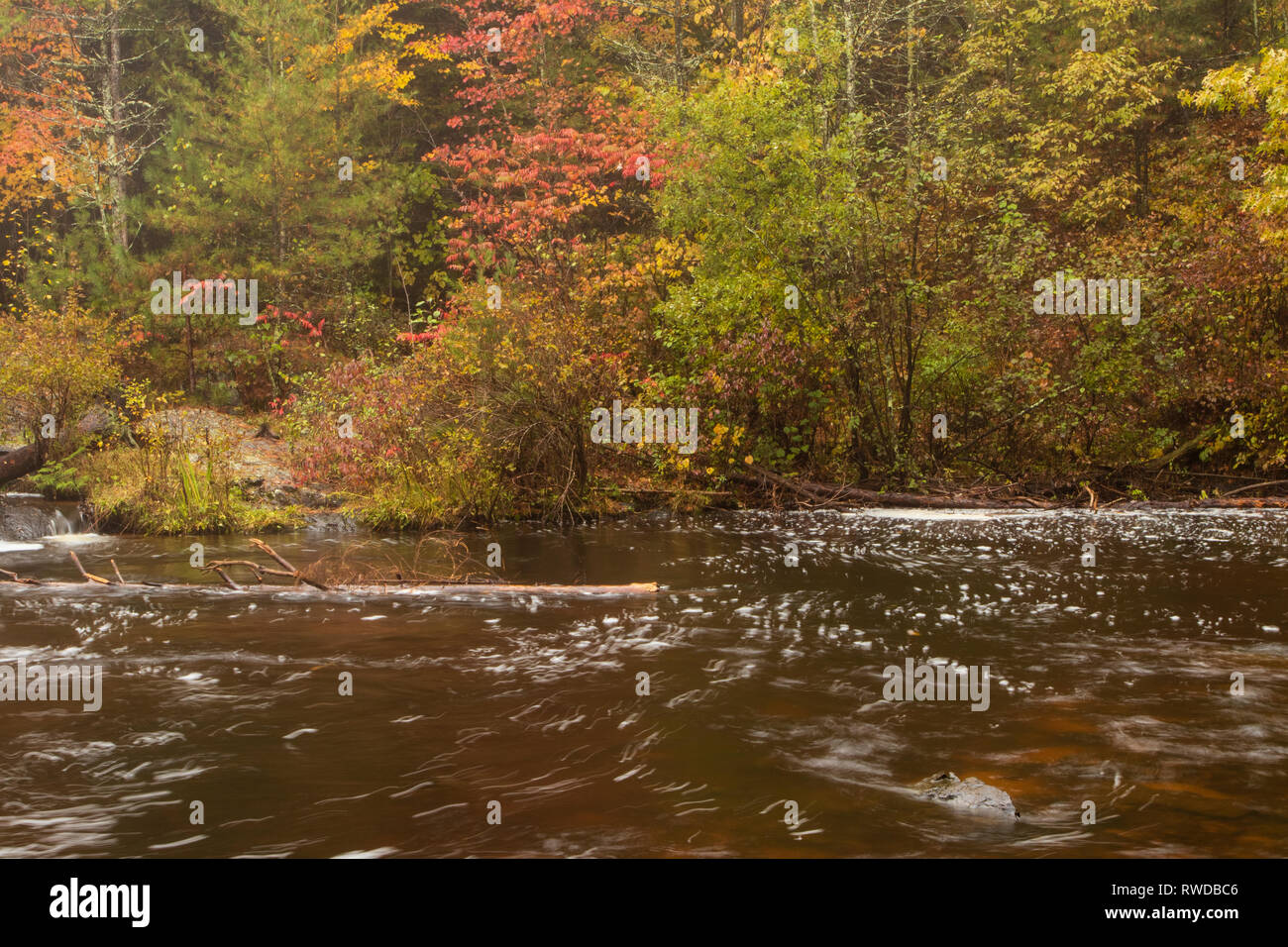 Veteran's fällt. Crivitz, WI Oktober 2018 Stockfoto