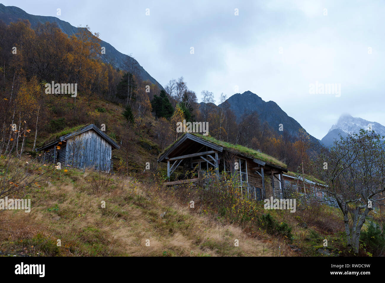 Chalets mit lebenden Dächer, Urke, Valen, Møre og Romsdal, Norwegen Stockfoto