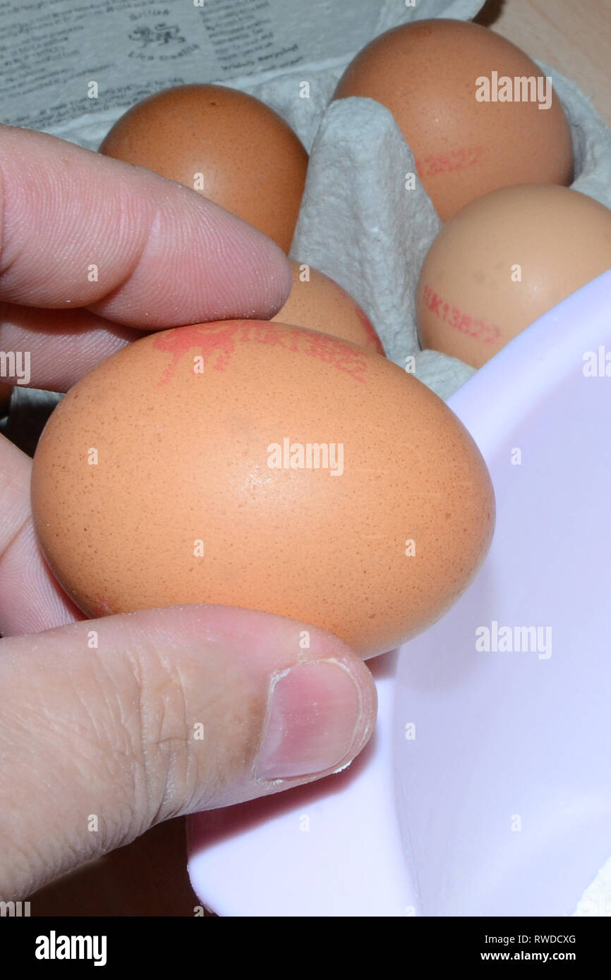 Eier aus Freilandhaltung, Zutaten zum Kochen Stockfoto