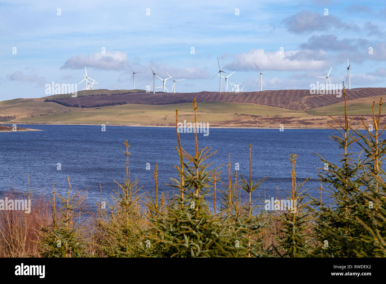 Clocaenog windfarm gesehen über Llyn Brenig vom Rand von Alwen Wald, Wales Stockfoto