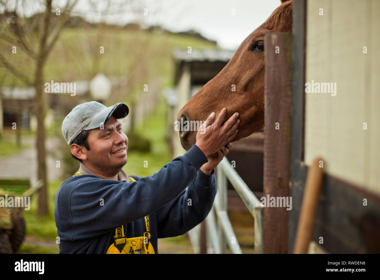 Lächelnd Mitte nach landwirtschaftlichen Arbeitnehmers Streichelzoo mit seinem Pferd. Stockfoto