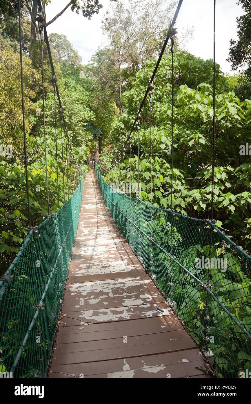 Taman Eko Rimba KL, Kuala Lumpur eco Park im Herzen der Stadt, in der ...