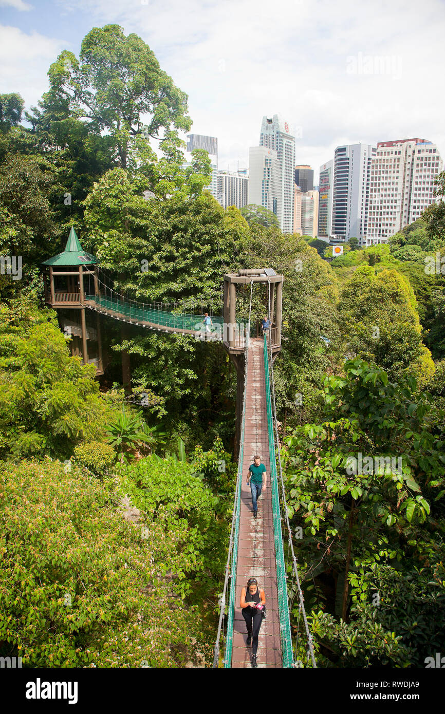 Taman Eko Rimba KL, Kuala Lumpur eco Park im Herzen der Stadt, in der Bukit Nanas, Baum Canopy Walkway Stockfoto