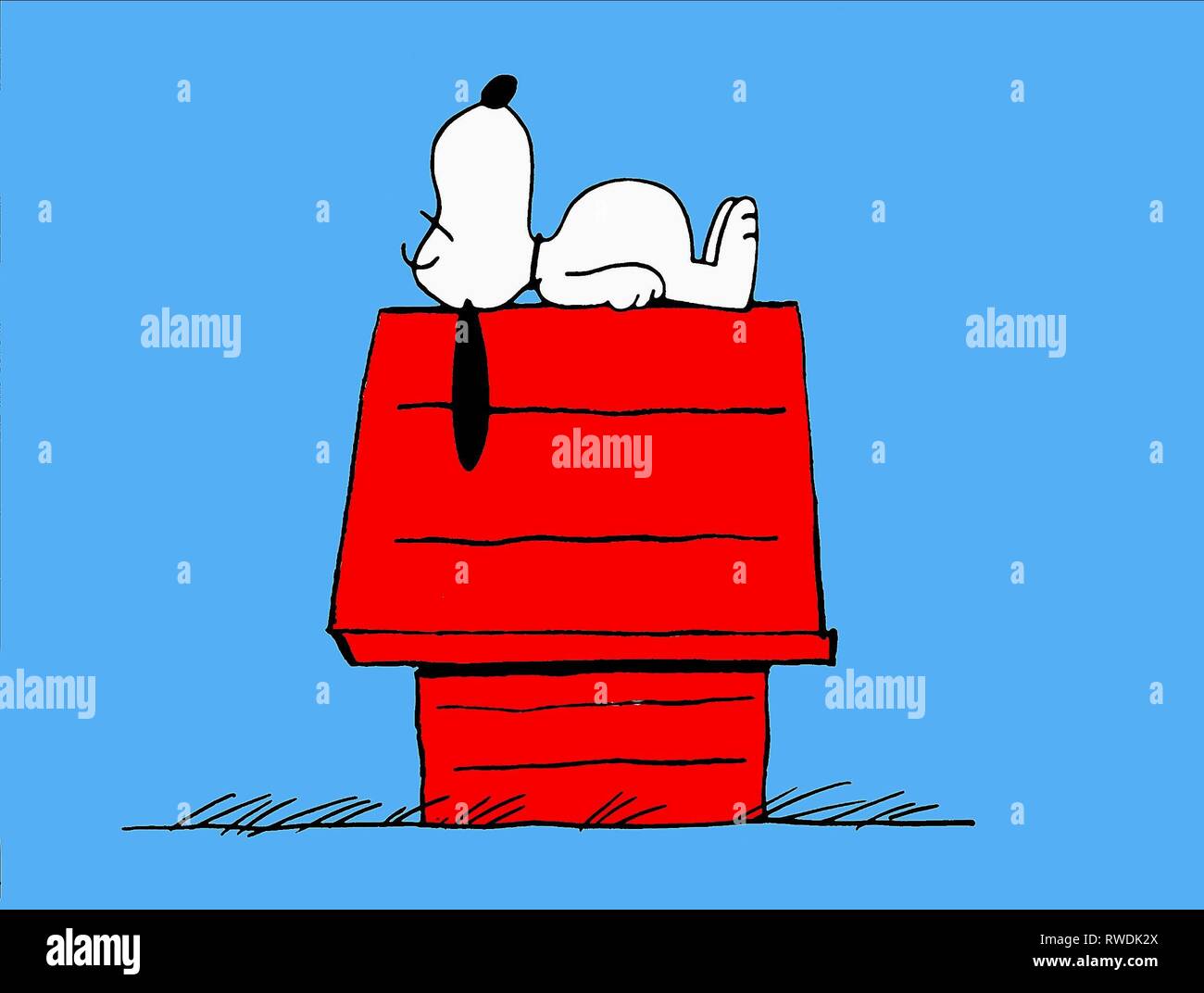SNOOPY, Bon voyage Charlie Brown (UND KOMMEN NICHT WIEDER!!), 1980 Stockfoto