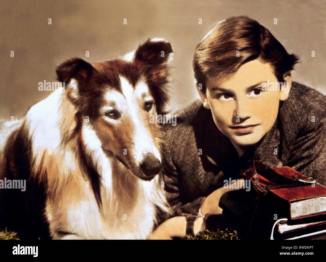 LASSIE, MCDOWALL, LASSIE COME HOME, 1943 Stockfoto