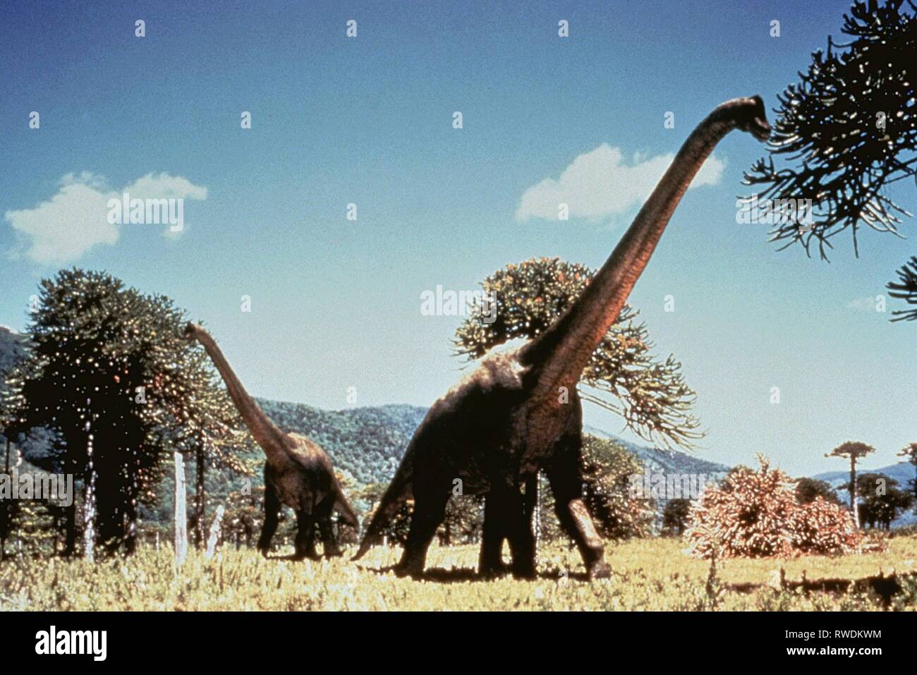 Walking With Dinosaurs Stockfotos Und Bilder Kaufen Alamy