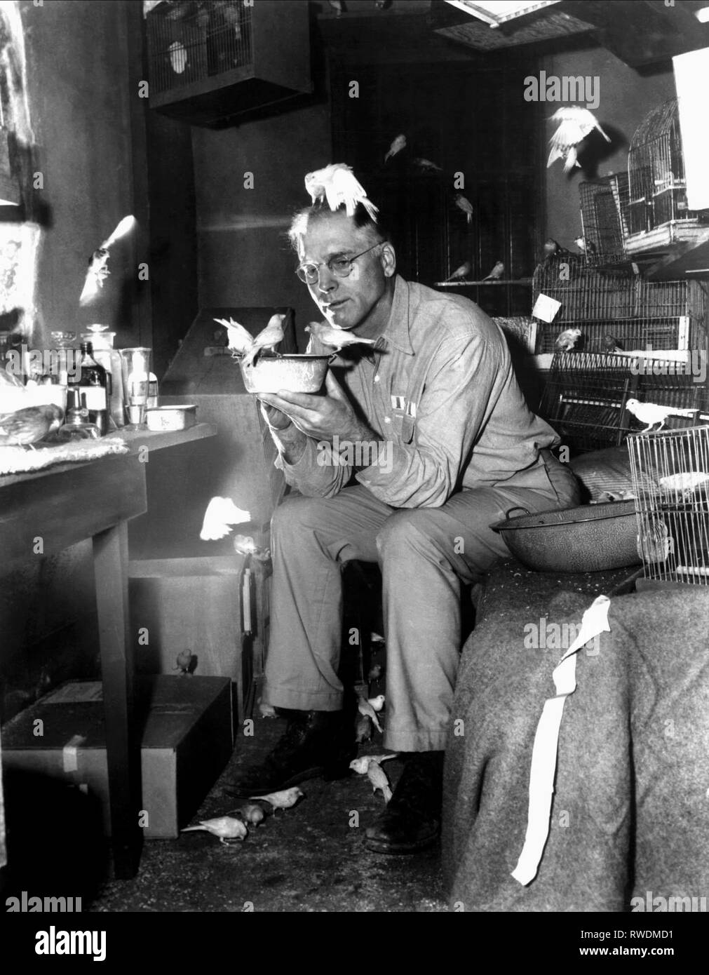 BURT LANCASTER, Der Vogelmann von Alcatraz, 1962 Stockfoto