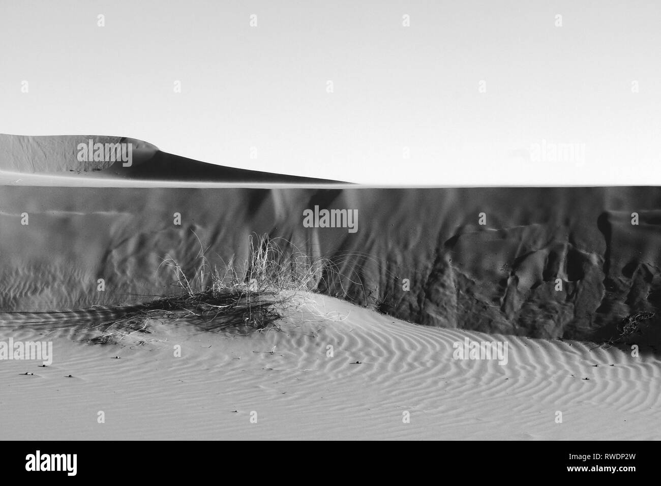 Dünen der Sahara. Sichtbar interessante Texturen und Muster auf Sand Oberfläche. Dünen Form. Schatten und Lichter auf Sand Wand. Schwarz und Weiß. Stockfoto