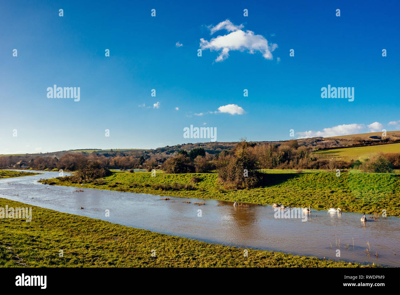 Britische Landschaft rive mit Schwänen in einem hellen, sonnigen Tag Stockfoto