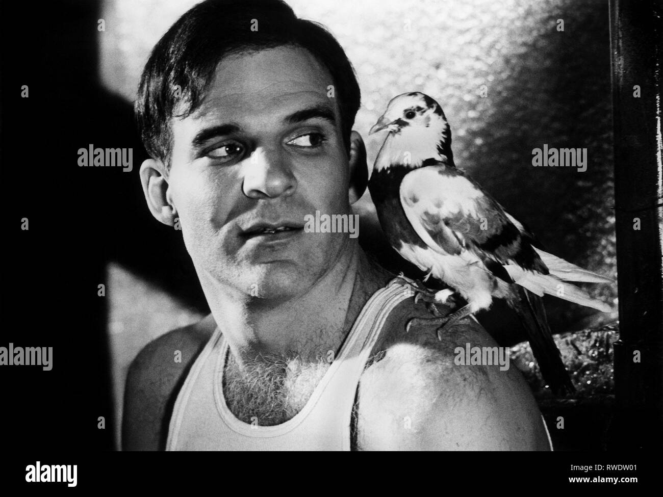STEVE MARTIN mit Vogel, tote Männer TRAGEN SIE KEINE PLAID, 1982 Stockfoto