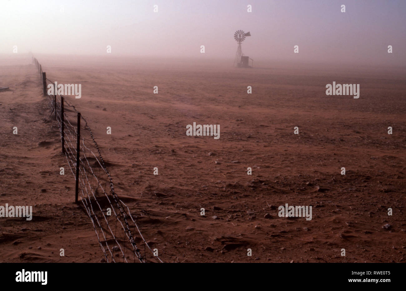 Ein STAUBSTURM weht über Dürre betroffenen Ackerland im Outback von Australien. Stockfoto