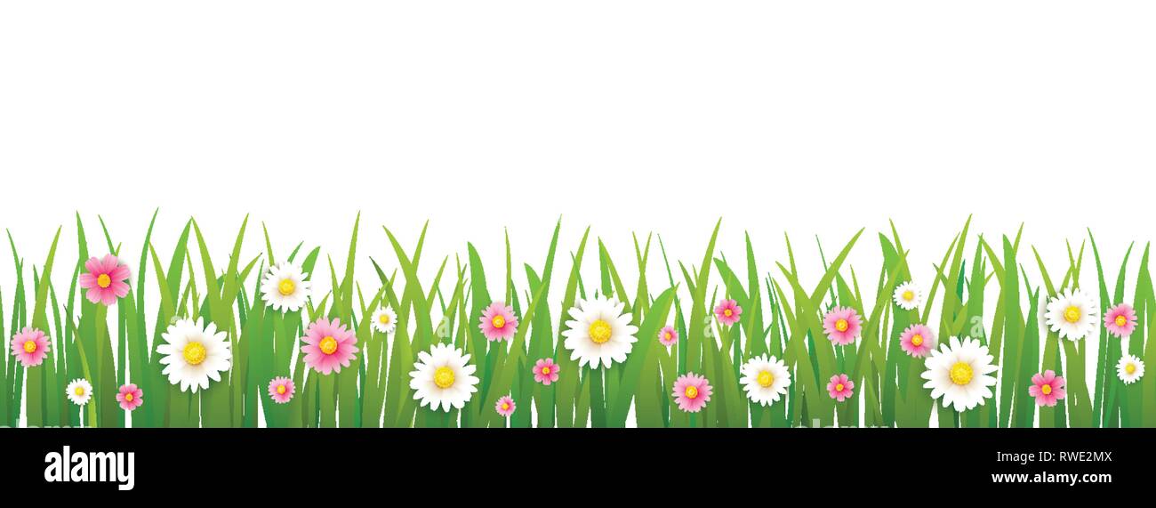 Hallo Frühling Blumen mit Gras isoliert Hintergrund. Stock Vektor