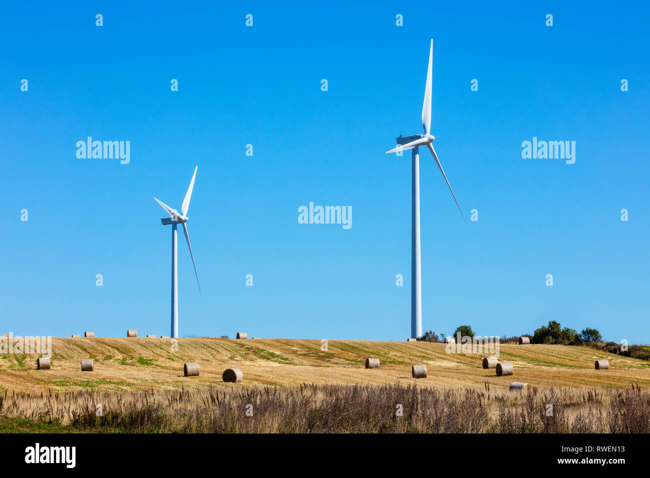 Ballen Heu und Windkraftanlagen, West Cape, Prince Edward Island, Kanada Stockfoto