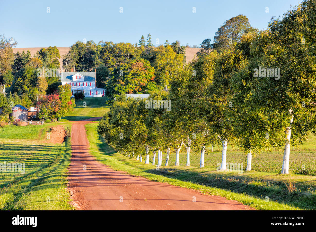 Country Lane und Bauernhof, Pownal, Prince Edward Island, Kanada Stockfoto