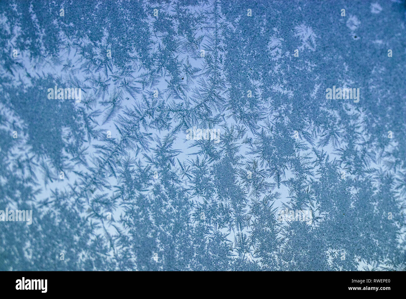 Eine gefrorene Fenster mit einzigartigen Ice Muster gebildet Stockfoto