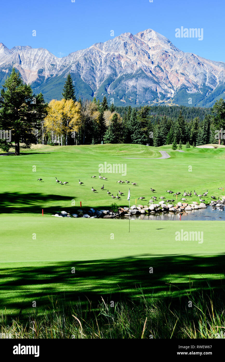 Die 16 grüne im The Fairmont Jasper Park Lodge Golf Club Kurs in Jasper, Alberta. Pyramide Berg ist im Hintergrund. Stockfoto