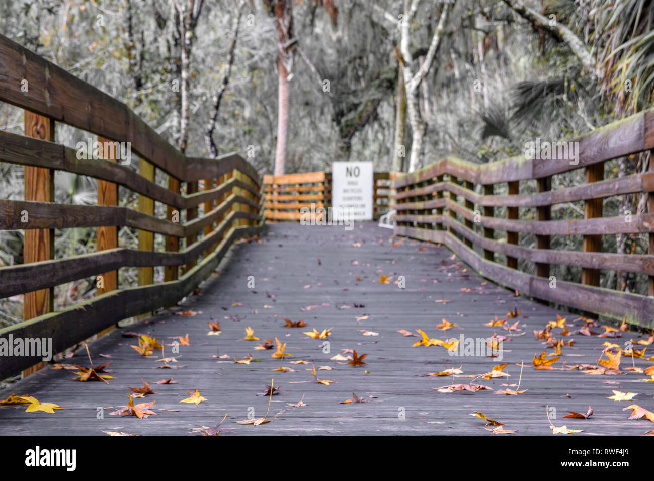 Leben in der Gegenwart und für die Zukunft ist unklar.. eine Promenade Schuß im Herbst in Florida Stockfoto